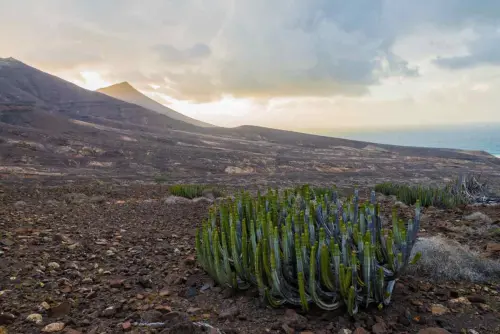 Come vivere il meglio di Capo Verde partendo dall’isola di Sal